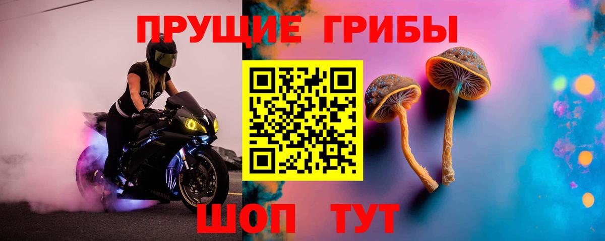 Псилоцибиновые грибы Psilocybe  Вход с VPN  Галлюциногенные грибы мухоморы  Клин 